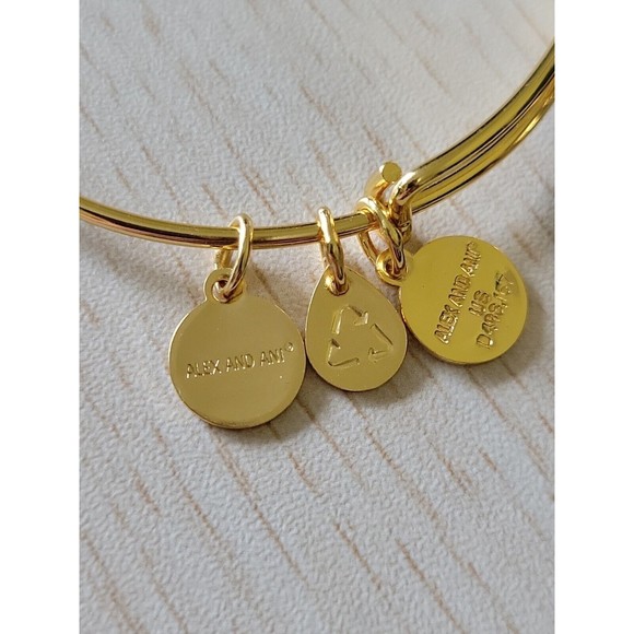 Alex & Ani United States Coast Guard 1790 Gold Tone Charm Bracelet 2016 - Picture 4 of 6